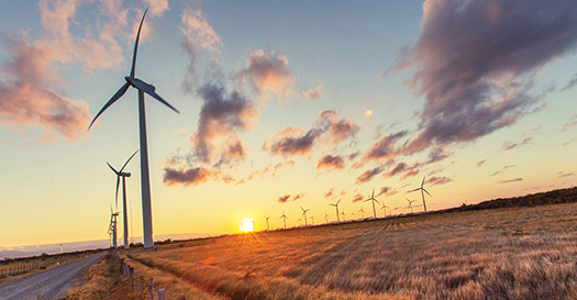 Grupo México will build the Fenicias wind farm in NL